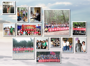 <span class=keywords><strong>Led</strong></span> tấm giấy phép công nhận hệ thống an ninh bãi đậu xe <span class=keywords><strong>Camera</strong></span> Road ANPR cổng rào cản LPR với phần mềm - Product Image 5