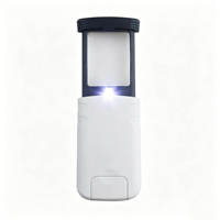 Portable Led Rectangular Pull-out Magnifier with LED Light HD 4X Acrylic Optical Lens Folding Magnifying Glass for Jewelry