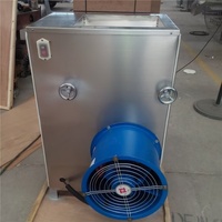 Éplucheur d'ail automatique 100 kg/h et trieuse 220V 0.20KW pour la machine d'épluchage d'ail