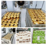 Stérilisateur à immersion horizontale pour aliments pour animaux, jus, lait, aliments en conserve, stérilisation automatique à la vapeur, autoclave