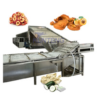 Volautomatische Productielijn Van Gedroogde Groente En Fruit Prune Rozijnen Pruim Betel Notenpeper Was-En Droogdroger Machine