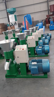 Machine à granulés à usage domestique SKJ200