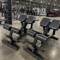 Chaise romaine commerciale d'hyperextension et d'extension dorsale, avec cadre en acier Q235, réglable, pour entraînement du tronc et développement du bas du dos en salle de sport