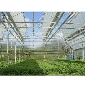 Venlo loại thương mại thép mạ kẽm nóng cấu trúc nhà kính Polycarbonate nhà kính cho nông - Product Image 6