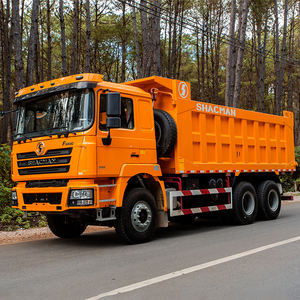 25ton รถดัมพ์ F3000 6x4 6*4 - Product Image 4