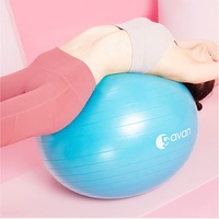 Gode épais de haute qualité balle de yoga balle d'exercice plusieurs tailles logo personnalisé balles de yoga