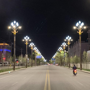ไฟถนน LED อลูมิเนียมอัลลอยด์ กันน้ำ IP65 สำหรับภายนอกอาคาร แสงสว่าง 5000K สีขาวกลางวัน ใช้ไฟ AC 220V พร้อมเซ็นเซอร์ตรวจจับความเคลื่อนไหว - Product Image 5