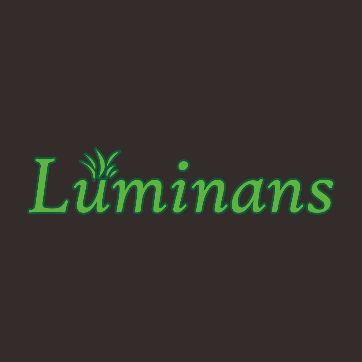Luminans (shenzhen) Technology Co., Ltd. logo