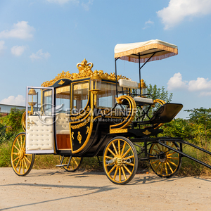 Enclosed Royal Carriages China Electric Horse Drawn Carriage Favorite Electric Horseless Carriage for Sale - Product Image 2