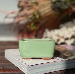 Pots succulents ronds en céramique peints en bleu de style de vente chaude avec plateau - Product Image 4