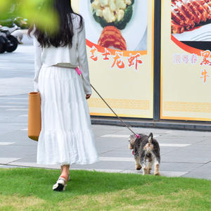 Correa de nailon resistente e impermeable para mascotas con logotipo personalizado con asa acolchada - Product Image 6