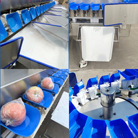 Oceaan Zoete Aardappel Fruit Perzik Citroen Sorter Machine Kreeft Langoesten Zeevruchten Sorteerkwaliteit Machine Te Koop