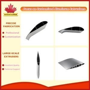 Aspas de Rotor de Aluminio para Helicópteros y Girocópteros, Aspas de Aerofólio de Extrusión de Aluminio, Precio de Aspas de Turbinas Eólicas - Product Image 2