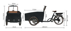 Bicicleta de carga eléctrica holandesa, 3 ruedas, marco de acero reforzado soldado TIG, triciclo eléctrico de tres ruedas con cinturón de seguridad para niños - Product Image 6