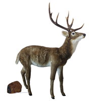 Renne Animé Personnalisé en Fibre de Verre avec Musique Bluetooth, Modèle de Cerf pour Noël, Cadeau Maison, Décoration de Fêtes