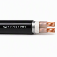 Câble d'alimentation blindé en cuivre XLPE YJV22 2*95mm² 2*120mm² 0,6/1kV avec gaine en PVC blindée à bande d'acier pour connexion de transformateur