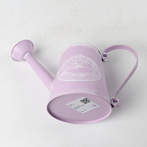 धातु पानी कर सकते हैं छिड़काव केतली आधुनिक यूरोप शैली बहु रंग सामग्री मूल लोहे कंटेनर पैकिंग/giftpacking - Product Image 6