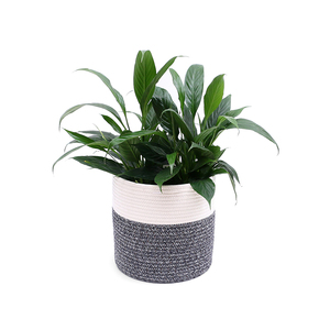 Corde De coton Panier Moderne Plancher Intérieur Jardinières, Organisateur De Stockage Panier Tissé Décor À <span class=keywords><strong>La</strong></span> <span class=keywords><strong>Maison</strong></span> - Product Image 1