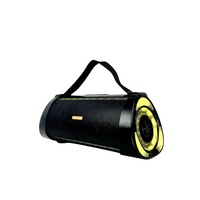 Haut-parleur de karaoké portable rechargeable double 4,5 pouces avec LED RVB 30W pour fêtes en extérieur