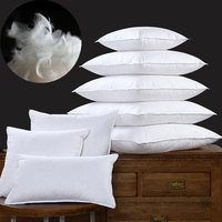 Insert de noyau d'oreiller personnalisé à bon prix noyau d'oreiller en velours insert d'oreiller en plumes coussin de plumes intérieur