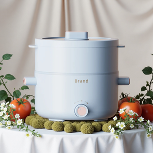 Olla eléctrica antiadherente <span class=keywords><strong>de</strong></span> 2 litros con protección térmica <span class=keywords><strong>de</strong></span> la mejor calidad, tetera múltiple para comida <span class=keywords><strong>de</strong></span> bebé, olla caliente para fideos con vapor para el desayuno - Product Image 1