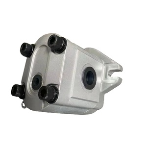 อะไหล่อุปกรณ์เครื่องผสม SNM2NN/08 11114494 ปั๊มเกียร์ - Product Image 1