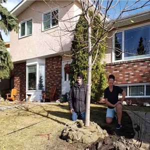 Thiết Kế Hiện Đại 30 '32 'Cây Nursery Gốc Bóng Lưới Giá Rẻ Dây Giỏ Cây Cho Bonsai Trồng - Product Image 4