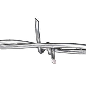 <span class=keywords><strong>Alambre</strong></span> <span class=keywords><strong>de</strong></span> púas galvanizado <span class=keywords><strong>de</strong></span> plata <span class=keywords><strong>de</strong></span> acero inoxidable <span class=keywords><strong>de</strong></span> 8 pies 3 bar con precio por rollo por metro peso por metro <span class=keywords><strong>para</strong></span> valla <span class=keywords><strong>de</strong></span> seguridad - Product Image 2