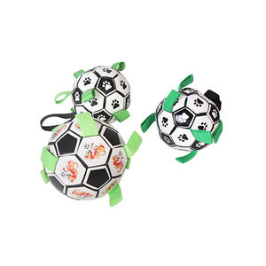 Sıcak Satış İnteraktif Futbol Oyuncağı Futbol Topu Isırmaya Dayanıklı Evcil Hayvan Isırma Topları Açık Hava Oyuncağı Köpekler İçin - Product Image 1