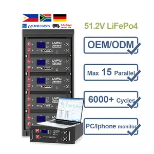 Lifepo4 48V Akku 60Ah 100AH 200ah 400ah rak terpasang baterai surya seluruh rumah