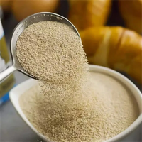 Poudre de protéines de levure de qualité alimentaire en gros pour compléments de santé, emballage en fût, 98% OEM, pour boissons solides et énergétiques sportives