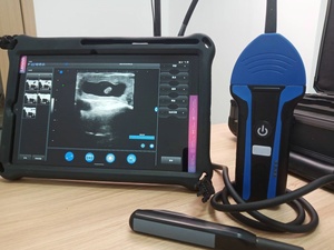 Mesin diagnostik <span class=keywords><strong>Ultrasound</strong></span> genggam nirkabel, peralatan medis pemindai <span class=keywords><strong>Ultrasound</strong></span> Vet portabel untuk dokter hewan - Product Image 6
