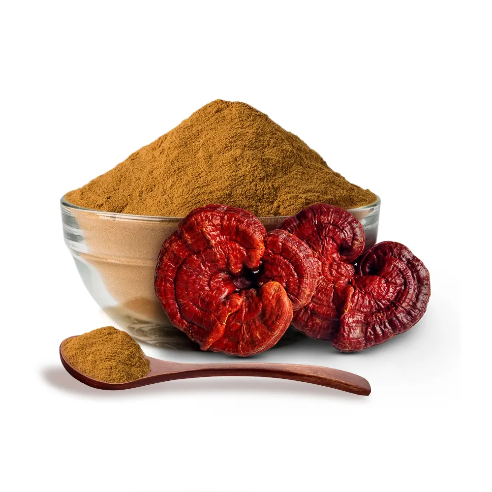 깨진 벽 ganoderma lucidum 포자 분말 캡슐 60 캡슐 좋은 몸 ganoderma lucidum triterpene 원유 다당류