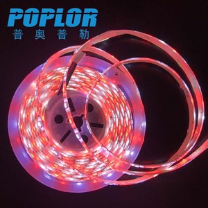 Tira de Luces LED Poplor 5050 SMD, 60 LED/M, 12V, Impermeable, RGBW, con Control Remoto WS2811 IC - Product Image 5