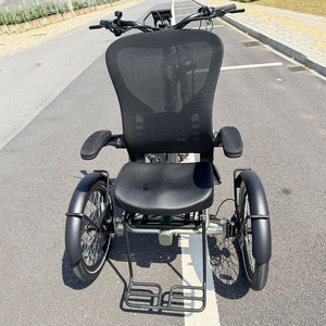 Triciclo Eléctrico de 3 Ruedas con Motor Central de 48v 250w para Personas Mayores/Discapacitadas, Carrocería Abierta, Cuadro de Aleación, 25KM/H, 9 Velocidades, <span class=keywords><strong>Desviador</strong></span> Hidráulico - Product Image 4