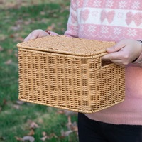 Panier de rangement en PP tissé de style nordique avec couvercle pour chambre à coucher, armoire, rangement de vêtements en extérieur, ensemble de 3 pièces