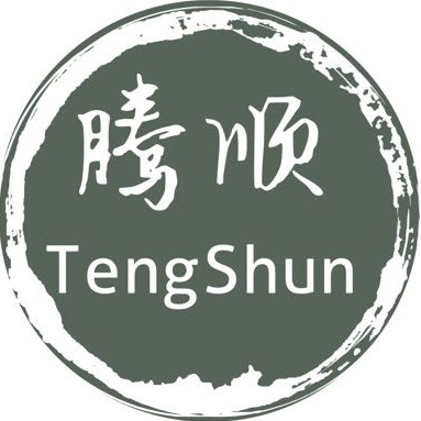 Yongkang Tengshun Metal Products Factory logo
