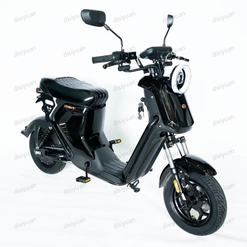 Disiyuan Electric Bike Stock Shipping 800W