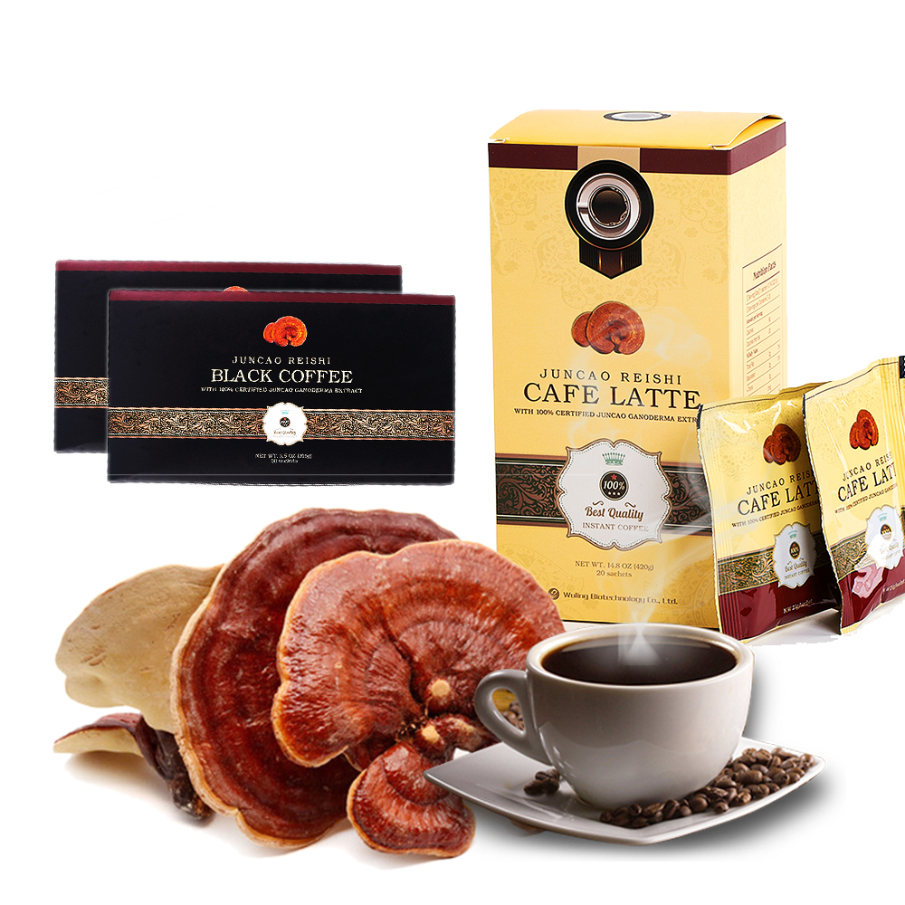 Vente en gros OEM Herbal Bio Reishi Mushroom Coffee 3 in 1 Instant Arabica Coffee