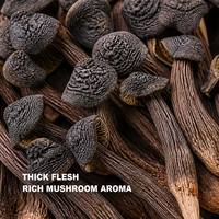 Termitomyces Albuminosus Sauvage Séché Premium en Gros – Champignon Entier Pur Super Alimentaire pour la Cuisine Saine et les Soupes – OEM