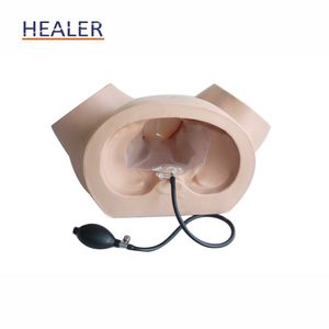 Simulador de entrenamiento de parto femenino de <span class=keywords><strong>ginecología</strong></span>, modelo de partería para trabajo anormal, maniquí de ciencia médica para escuelas - Product Image 4
