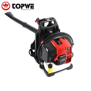 TOPWE Factory Price 63cc Gasoline Blower Portable Backpack Air Blower Machine