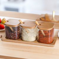 Pot à épices en verre borosilicate de haute qualité pour la cuisine, pot à épices avec cuillère en bois, 3 pièces, pots à épices