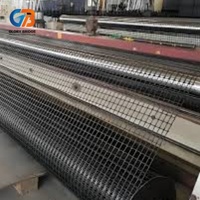 Rouleau de géogrille biaxiale en HDPE haute résistance et durable pour la stabilisation des talus de voies ferrées, la construction de chemins d'accès et de routes
