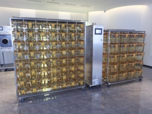 Gabbia Metabolica in Policarbonato per Topi da Laboratorio e Ratti - Product Image 5