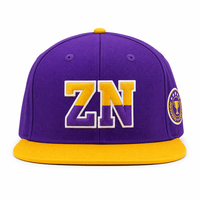 Casquettes personnalisées avec logo, casquette à visière plate, unisexe, réglable, broderie 3D en relief, casquette structurée à 6 panneaux, casquette snapback