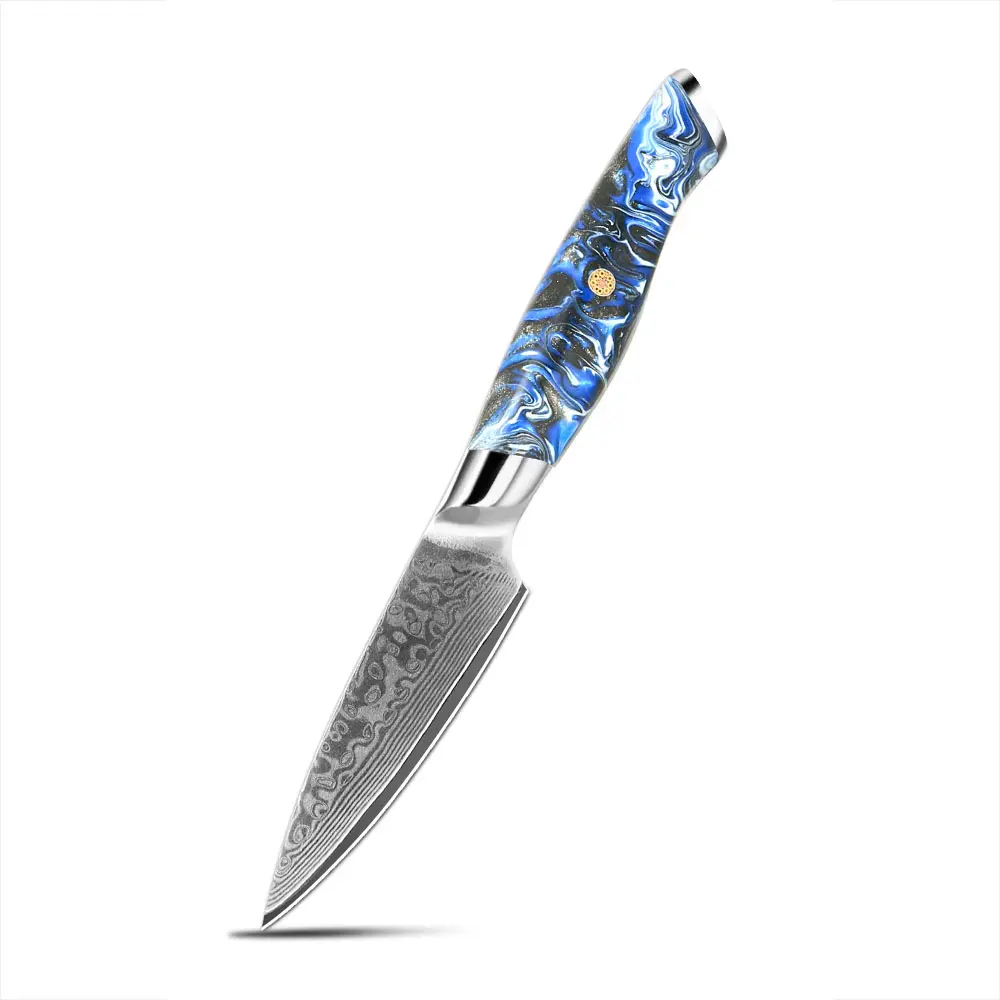 Exquisite vg10 damascus knife 67 layer fruit small fruit peeling salad knife paring knife with blue handle