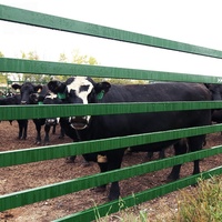 Panneau de clôture robuste en acier galvanisé pour bétail, idéal pour ranchs et fermes, avec conception portable et durable