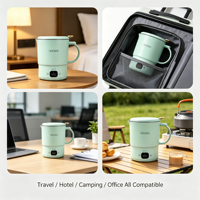 Vente directe d'usine, bouilloire électrique portable en acier inoxydable 316 de 800 ml, affichage numérique, température constante pour la maison