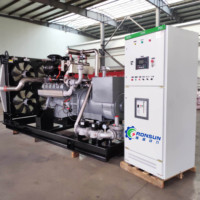 Groupes électrogènes silencieux et super silencieux au GPL, au biogaz et à la biomasse de 50 kW, 100 kW, 200 kW, 600 kW, 700 kW, 800 kW, 900 kW, 1000 kW, 1200 kW, 1 MW, 2 MW